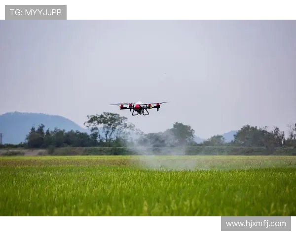 无人机在精细化农业中的估产
